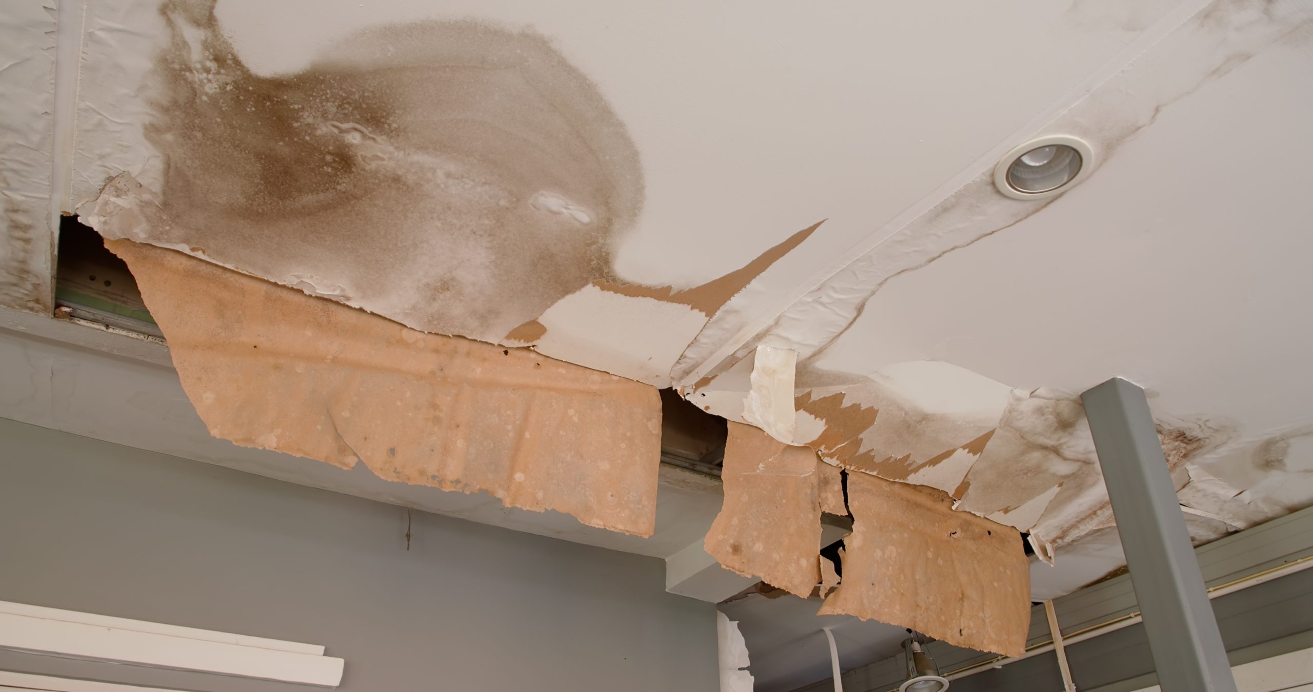 Ceiling Repairs Perth